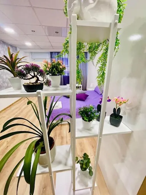 Studio 21 Varna Bulgaria